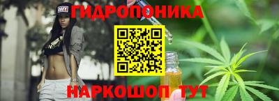 гашик Заводоуковск