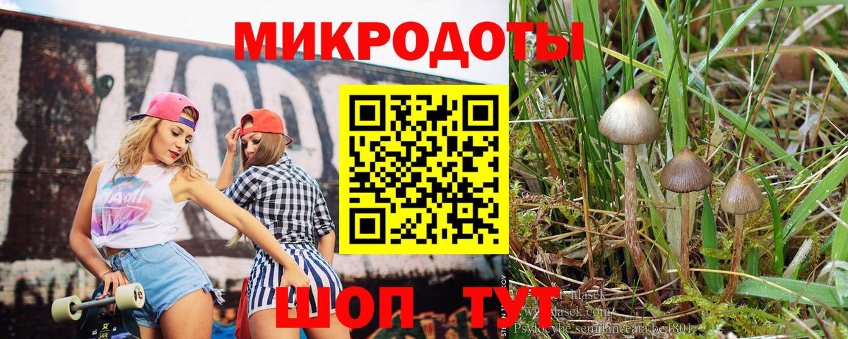 Лянтор  Псилоцибиновые грибы мицелий  Псилоцибиновые грибы Psilocybe  как найти наркотики  Вход с VPN 